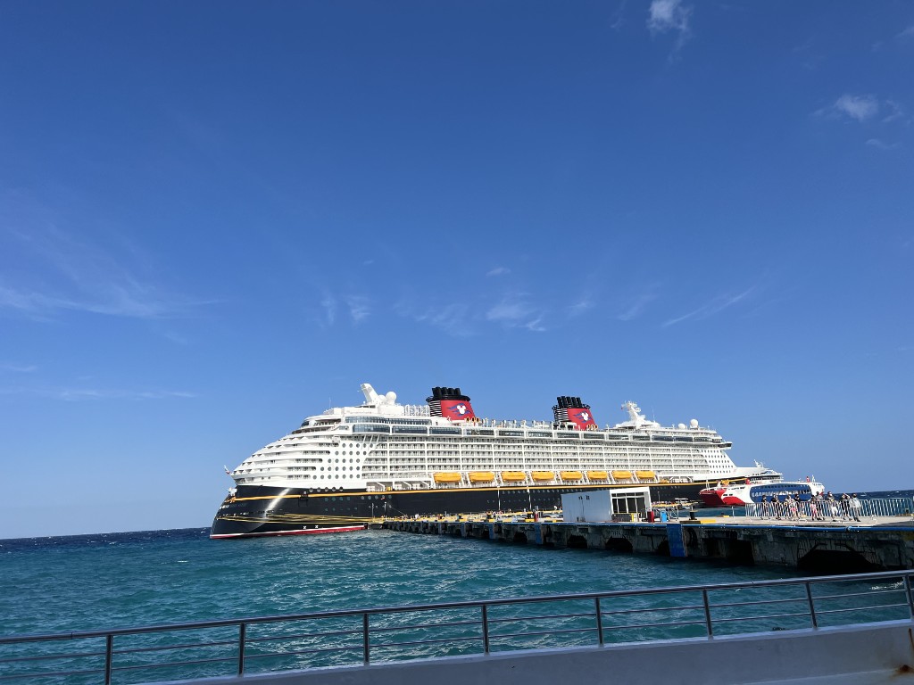 Disney cruise ship docked at port