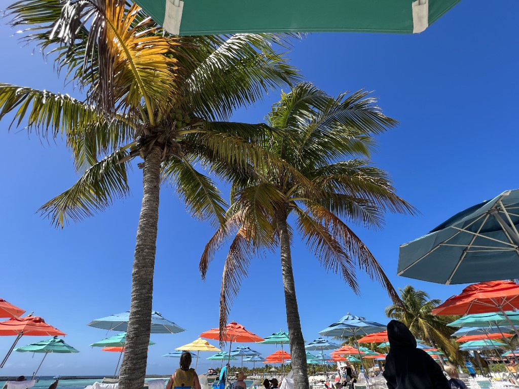 Beach with palm trees and colorful umbrellas